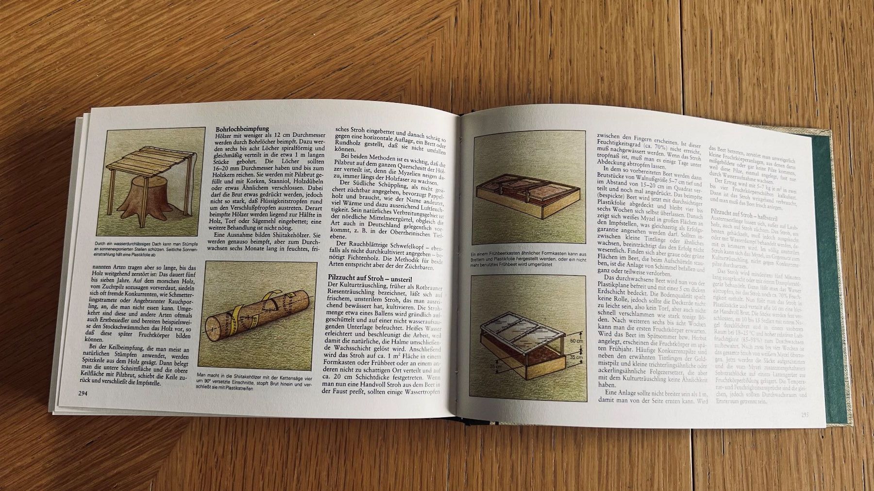 Libri: Pilze Mitteleuropas - Wegweiser Natur,1982 – Usato da Schübelbach venduto da Bemafaja 8