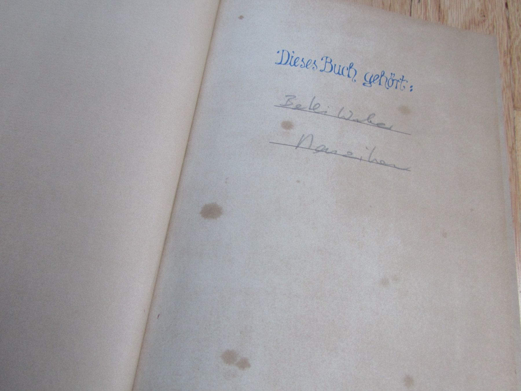 Libri: Das Kochbuch aus Basel – Usato da Seengen venduto da mikelele 1