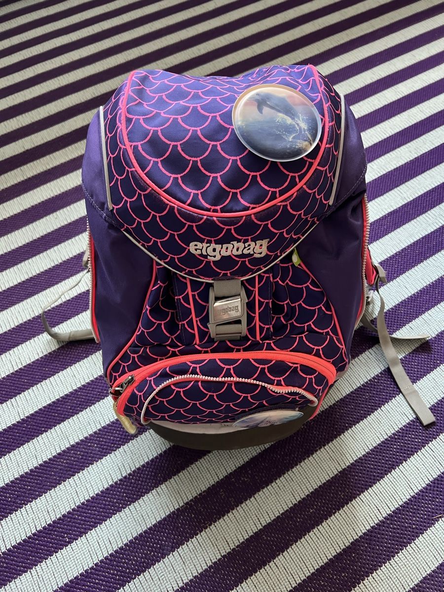 Ergobag Borse & Zaini: Ergobag der Theke Mappe Sportbeutel – Usato da Bottighofen venduto da fritz-81