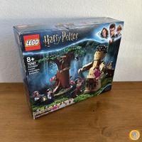 LEGO Harry Potter 75967 Forbidden Forest *NEU*