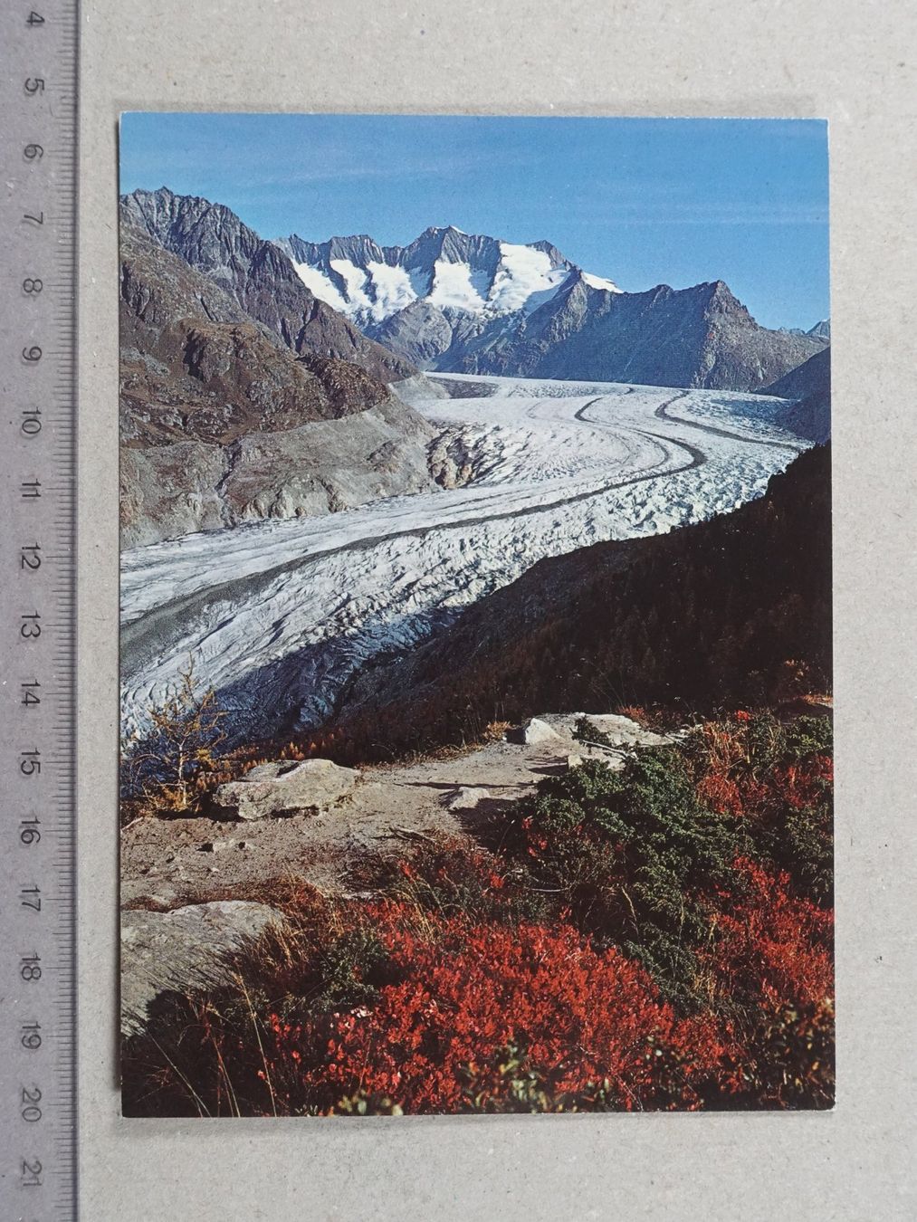 Cartoline postali: Aletschwald, Aletschgletscher, 1981, Stempel Ried bei Mörel – Usato da Lenzburg venduto da fh1
