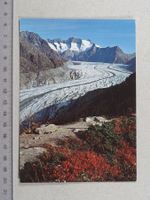 Aletschwald, Aletschgletscher, 1981, Stempel Ried bei Mörel