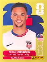 Carte FIFA World Cup 2026 USA 7