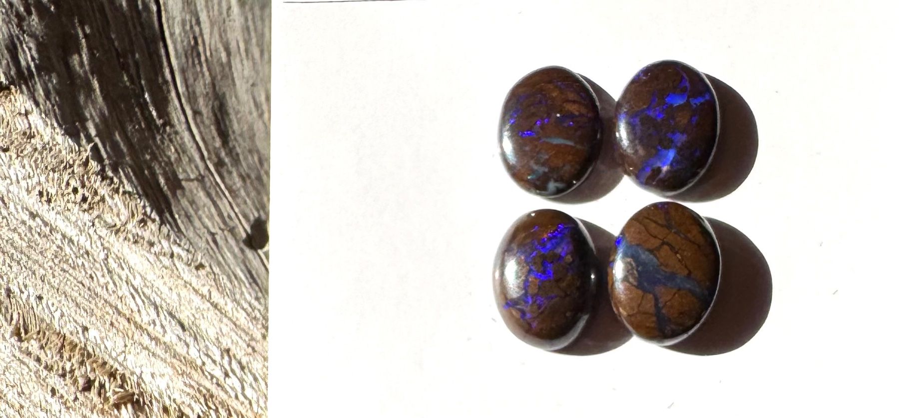 Fossili: Opale - 4 Stk Boulder Opal - Cabochons, BLAU!!!  TOP – Nuovo e nell'imballaggio originale da Leuggern venduto da gemshow 3