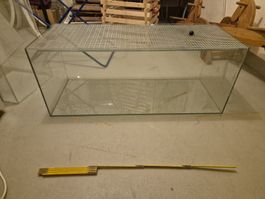 Nagetier Terrarium