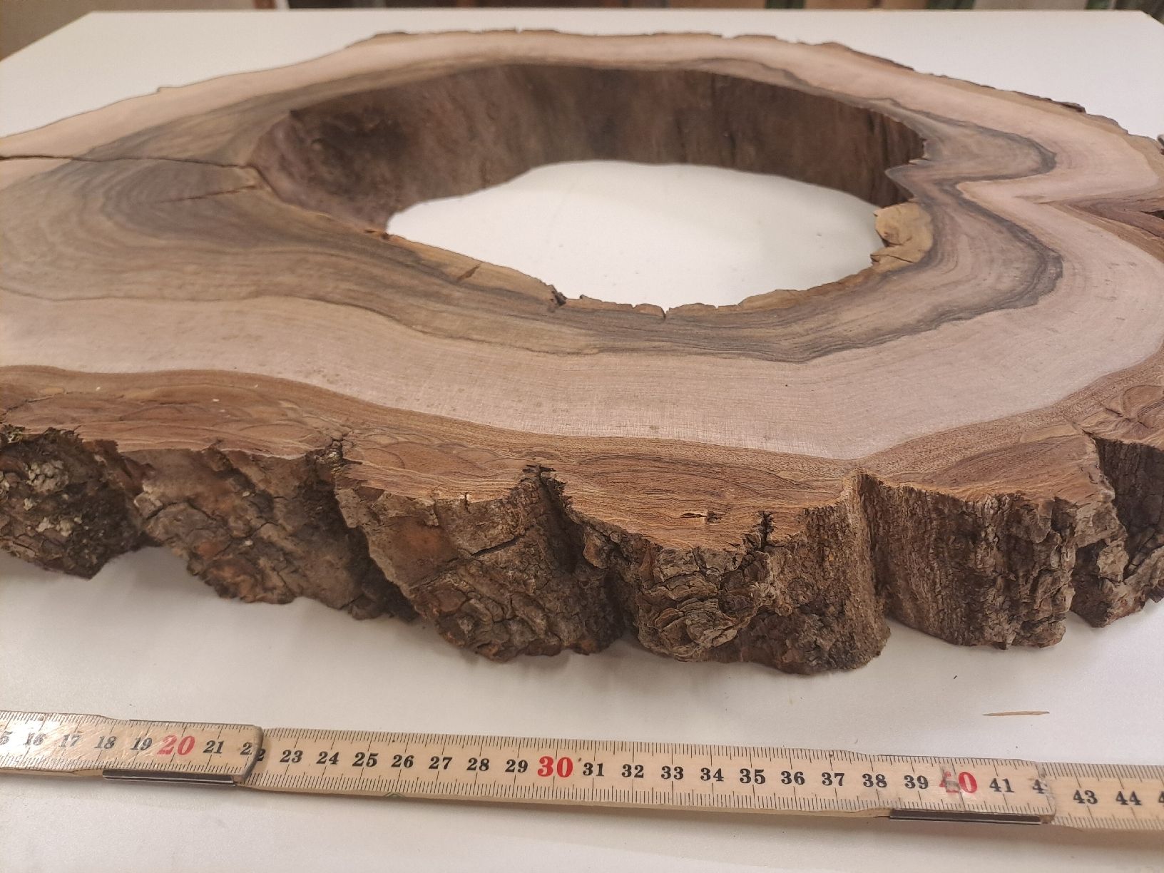 Articoli in legno: nussbauscheibe 620 x 450x 54mm – Nuovo e nell'imballaggio originale da Illnau venduto da adi711 2