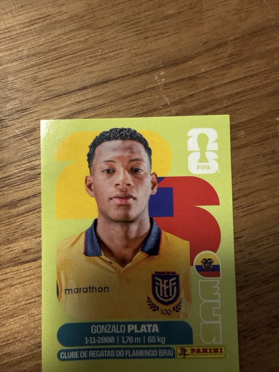 Panini Sammelbilder & Trading cards: Panini Fifa ECU 16 – Neu (gemäss Beschreibung) aus Allschwil von Japollo