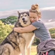Portachiavi: Husky Schlüsselanhänger – Nuovo e nell'imballaggio originale da Gommiswald venduto da Bullhead 7