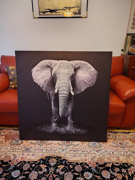 Dipinti: Tableau éléphant – Usato da Neuchâtel venduto da Ansofix