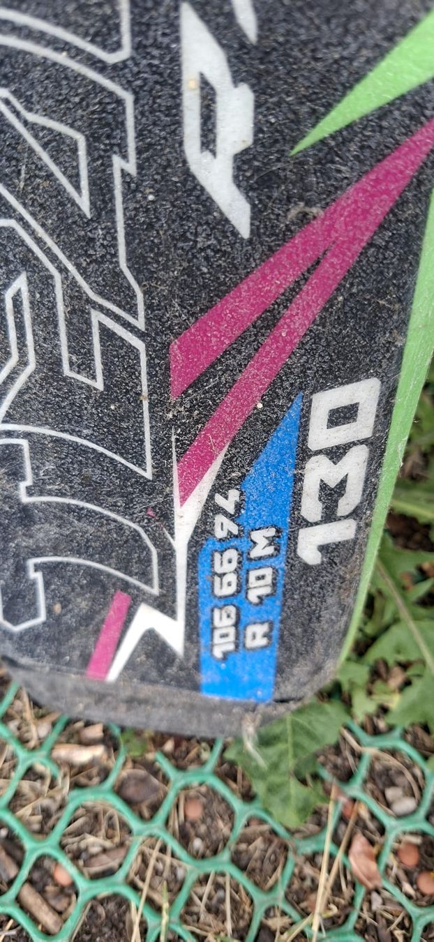 Nordica Skis: Ski  – Gebraucht aus Arzo von sis_h6jg 2
