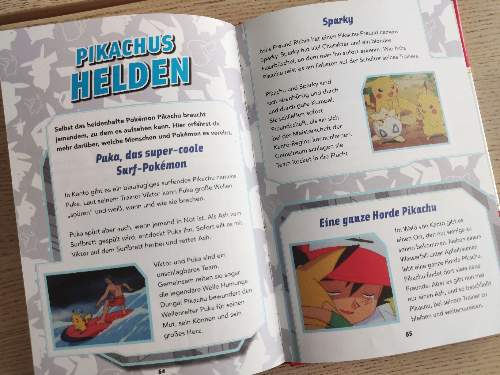 Libri: Alles über Pikachu – Pokémon-Buch – Usato da Schaffhausen venduto da philscardstore 6