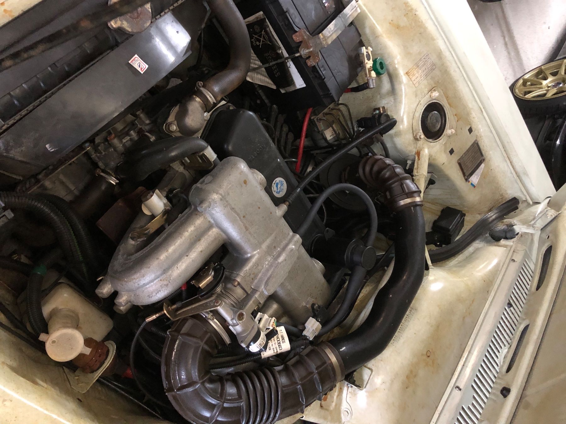 Automobili: Paykan Bardo for sale – Usato da Gohl venduto da YSysoiuz 6