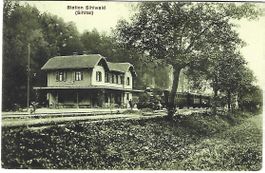 Station Sihlwald Sihltal Dampfzug