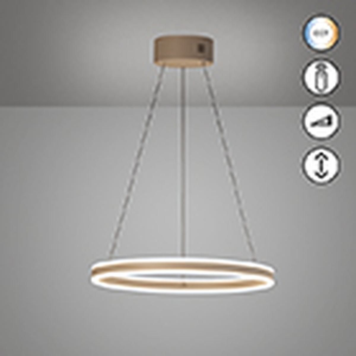 Kronleuchter & Deckenlampen: LED Pendelleuchte, Greige, CCT, 60 cm Ø – Neu (gemäss Beschreibung) aus Kreuzlingen von Smart-Light 2