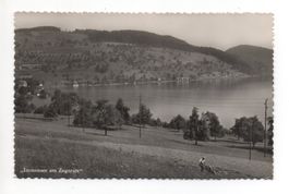 IMMENSEE Landwirtschaft am Zugersee