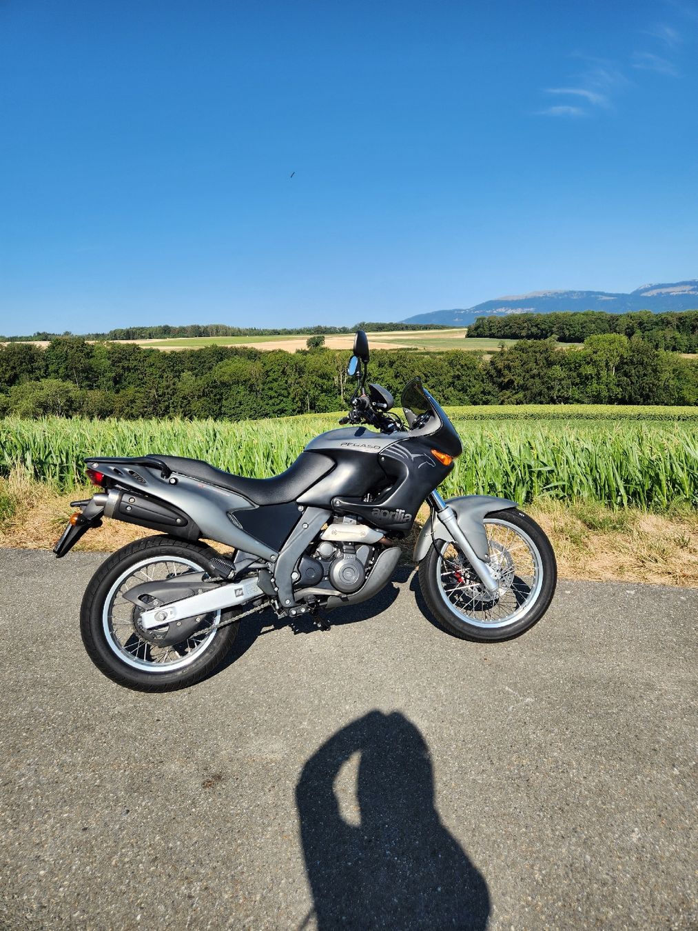 Aprilia Enduro: Aprilia Pegaso 650 2004 – Usato da Schüpfen venduto da joa_hsw5 6