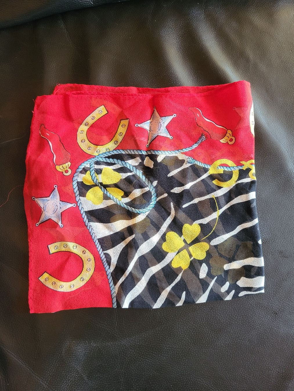 Dolce & Gabbana Foulards & écharpes: D&G Schal – D'occasion à Zweisimmen par Adorable 4