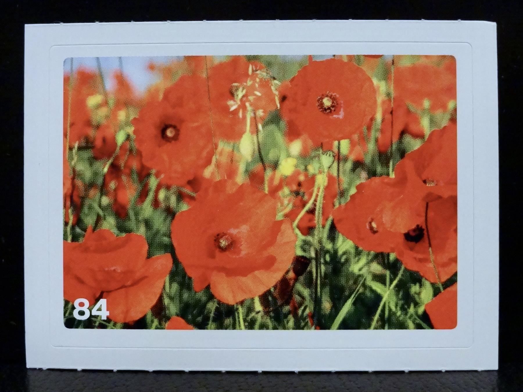 Migros Carte collezionabili: MIGROS MANIA Nature Detectives Nr. 84 – Nuovo e nell'imballaggio originale da Kerzers venduto da zimmergruen