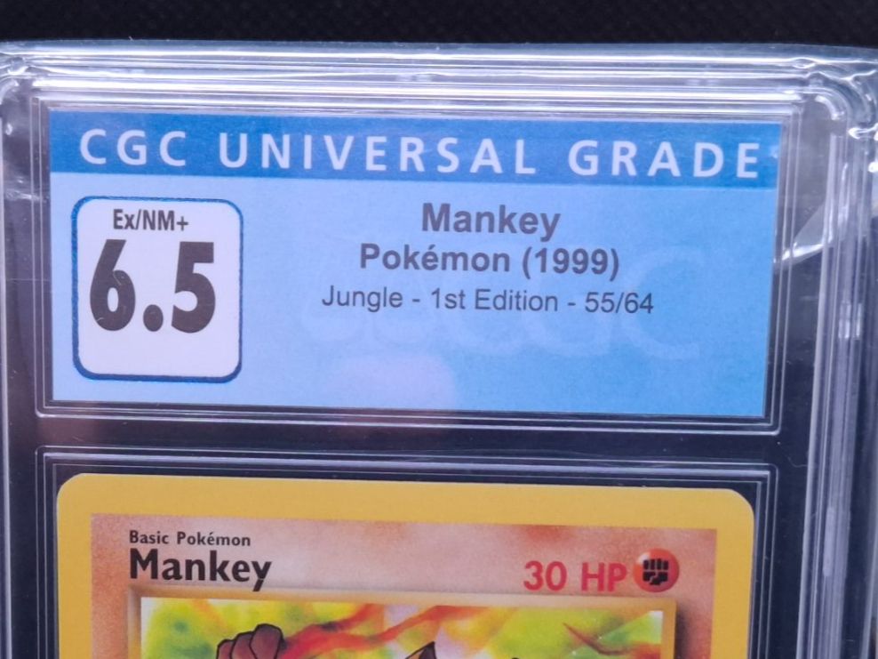 Mankey – Jungle – 1st Edition – CGC 6.5 / 55 (Gebraucht) in Schlieren ...