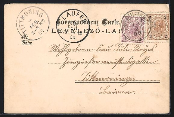 Cartoline postali: Litho Lausanne, Mädchen bei der Weinern – Usato da Berlin venduto da bartko-reher 1