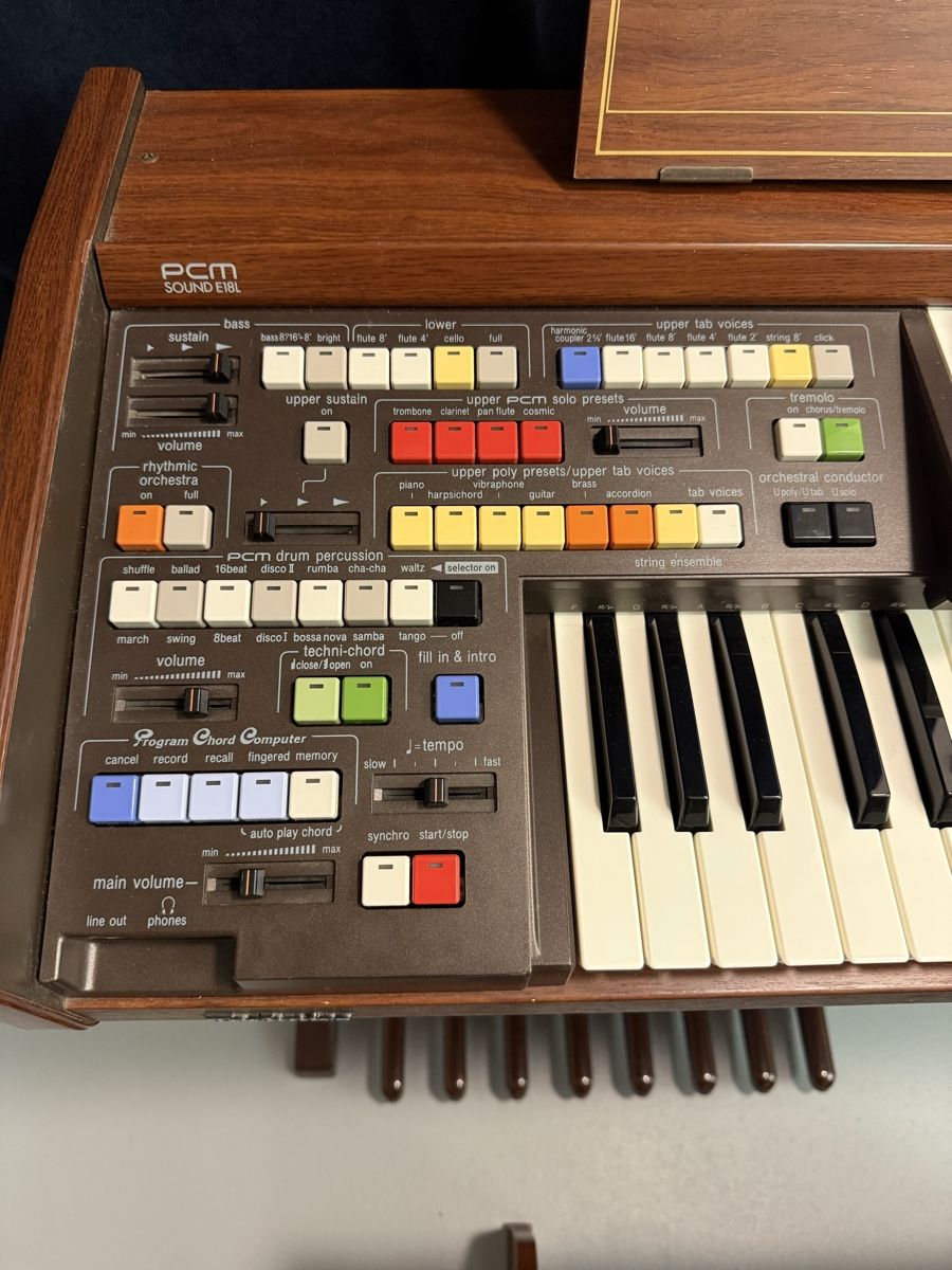 Technics Strumenti musicali: Technics PCM E18L Elektronische Orgel – Usato da Walenstadt venduto da Dirtykohlruebe 1