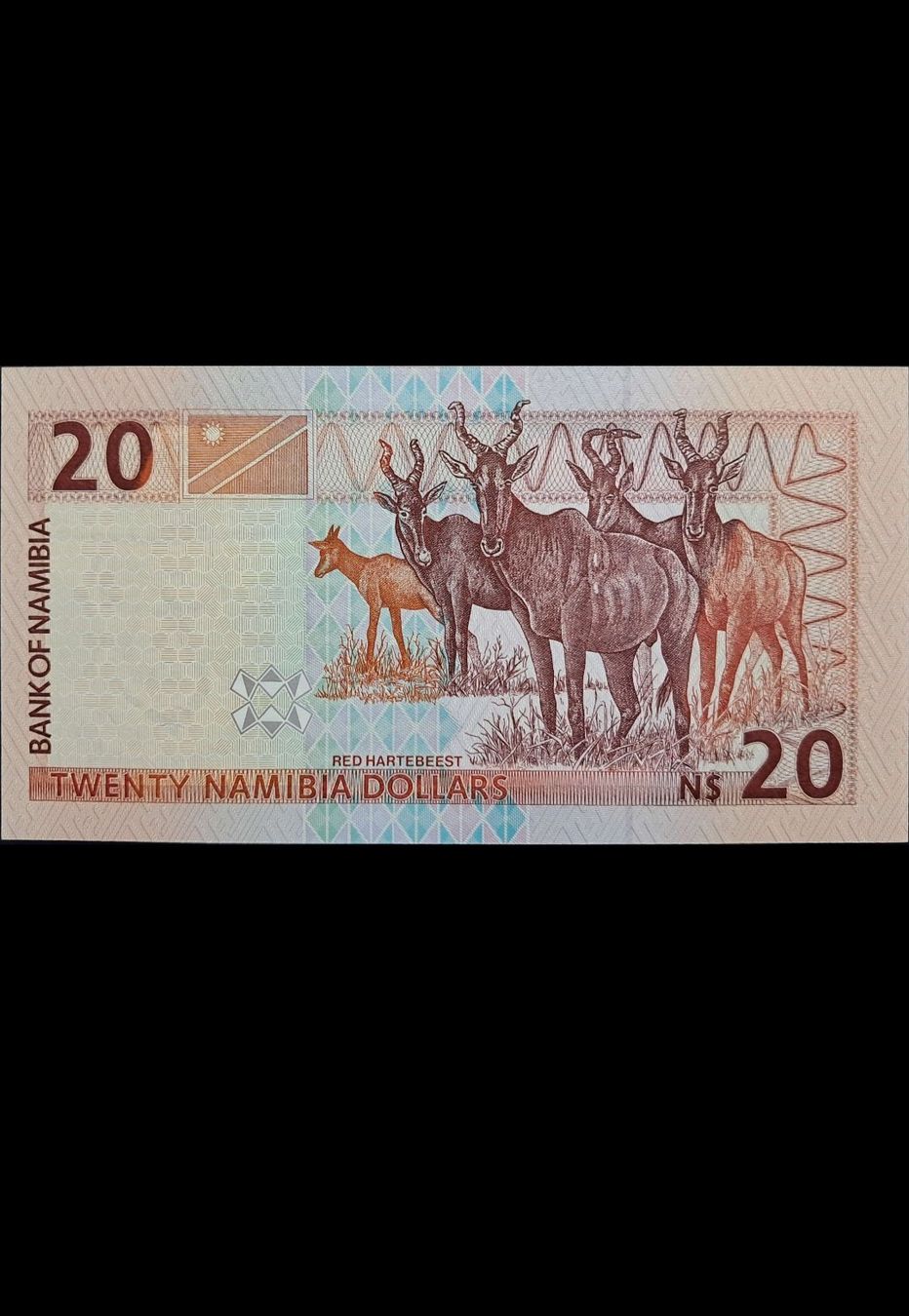 Banconote: Namibia 20 Namibia 1996 Unc – Nuovo e nell'imballaggio originale da Lufingen venduto da E-Auktion 1