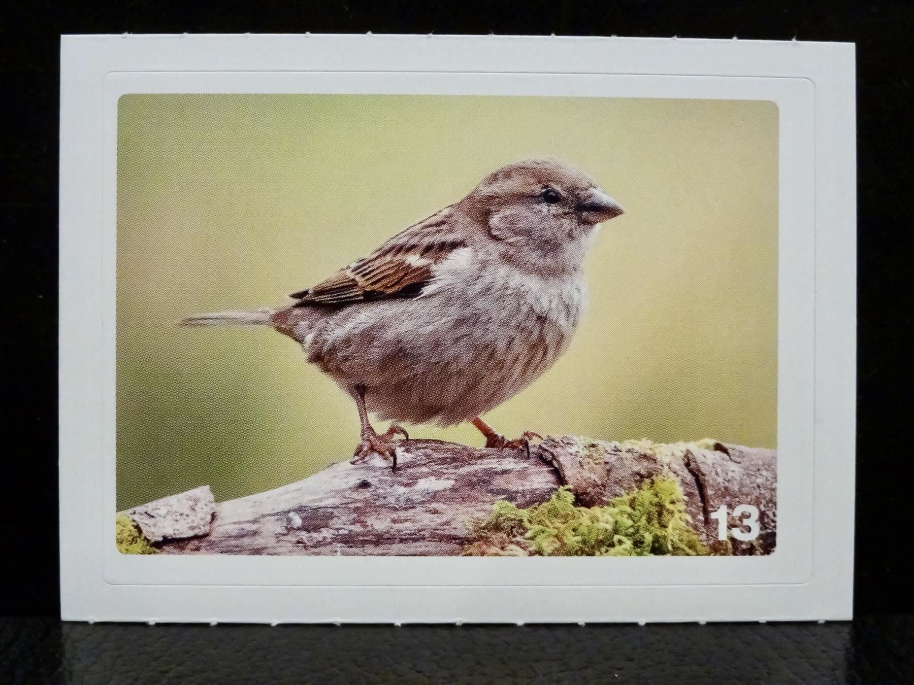 Migros Sammelbilder & Trading cards: MIGROS MANIA Nature Detectives Nr. 13 – Neu und originalverpackt aus Kerzers von zimmergruen