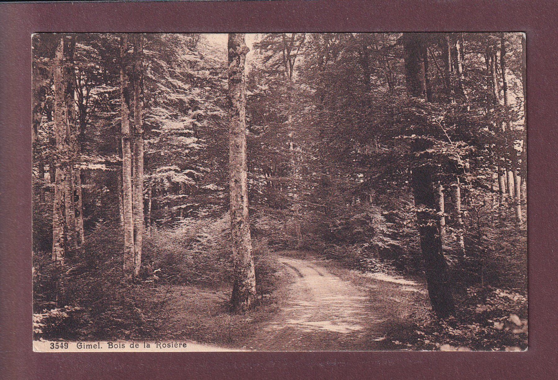 Cartoline postali: GIMEL - Bois de la Rosière - 1916 – Usato da Pully venduto da nicecards
