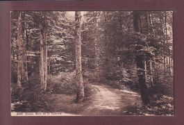 GIMEL - Bois de la Rosière - 1916