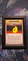Spray Dés-Evoluant 76/108 - Pokemon Evolutions FR