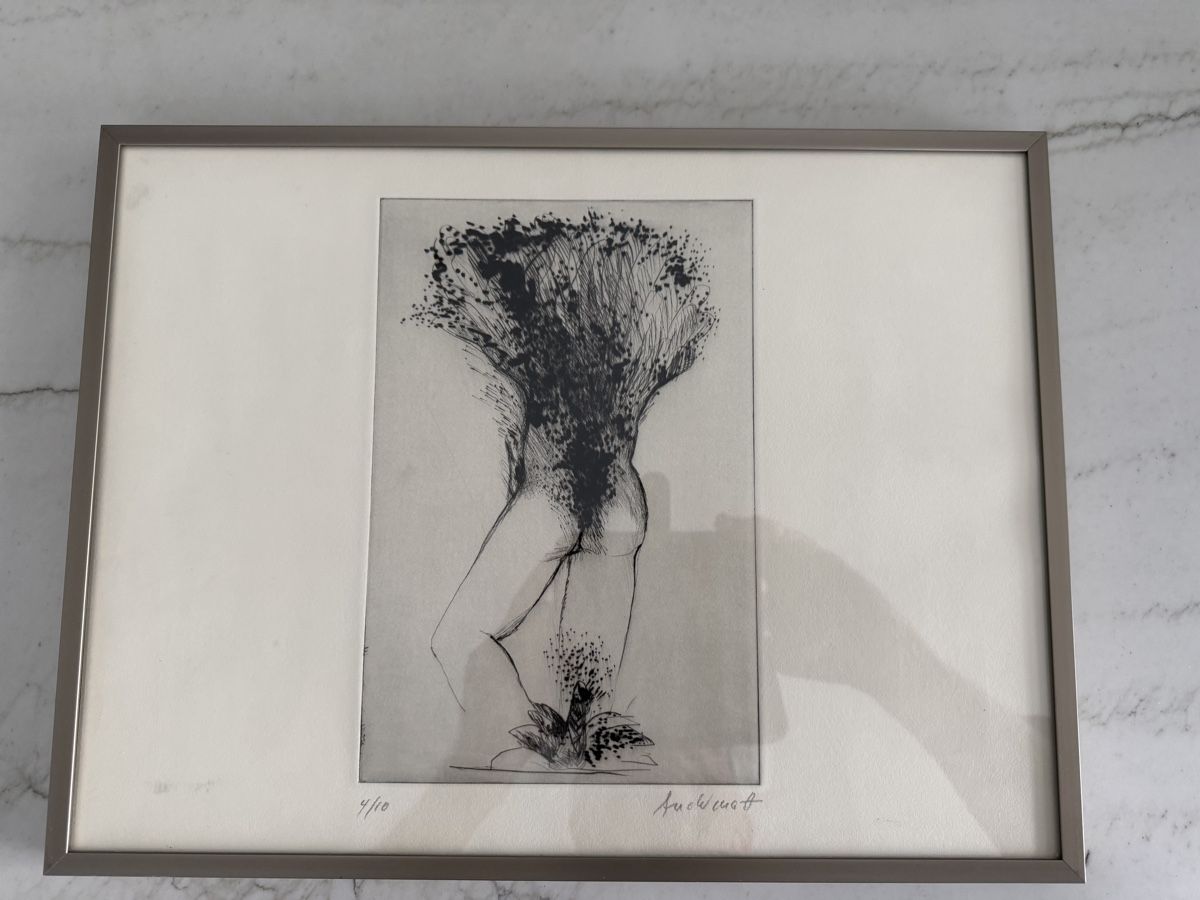 Grafica & Litografie: Peter Andermatt (Andi) Litho – Nuovo (secondo la descrizione) da Safenwil venduto da Corahund 2