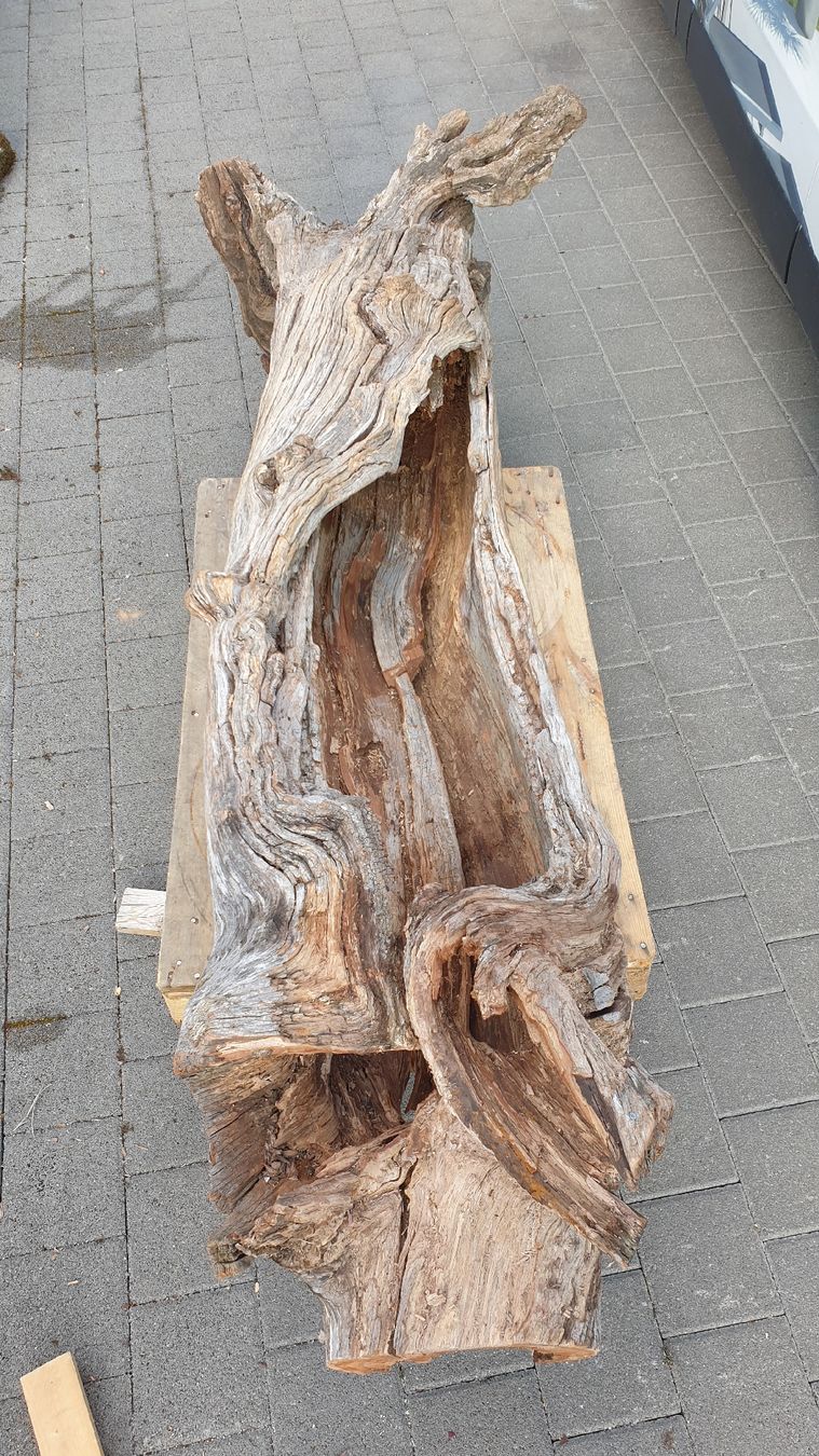 Articoli in legno: Baumstamm Birnbaum – Nuovo (secondo la descrizione) da Embrach venduto da Olympia52