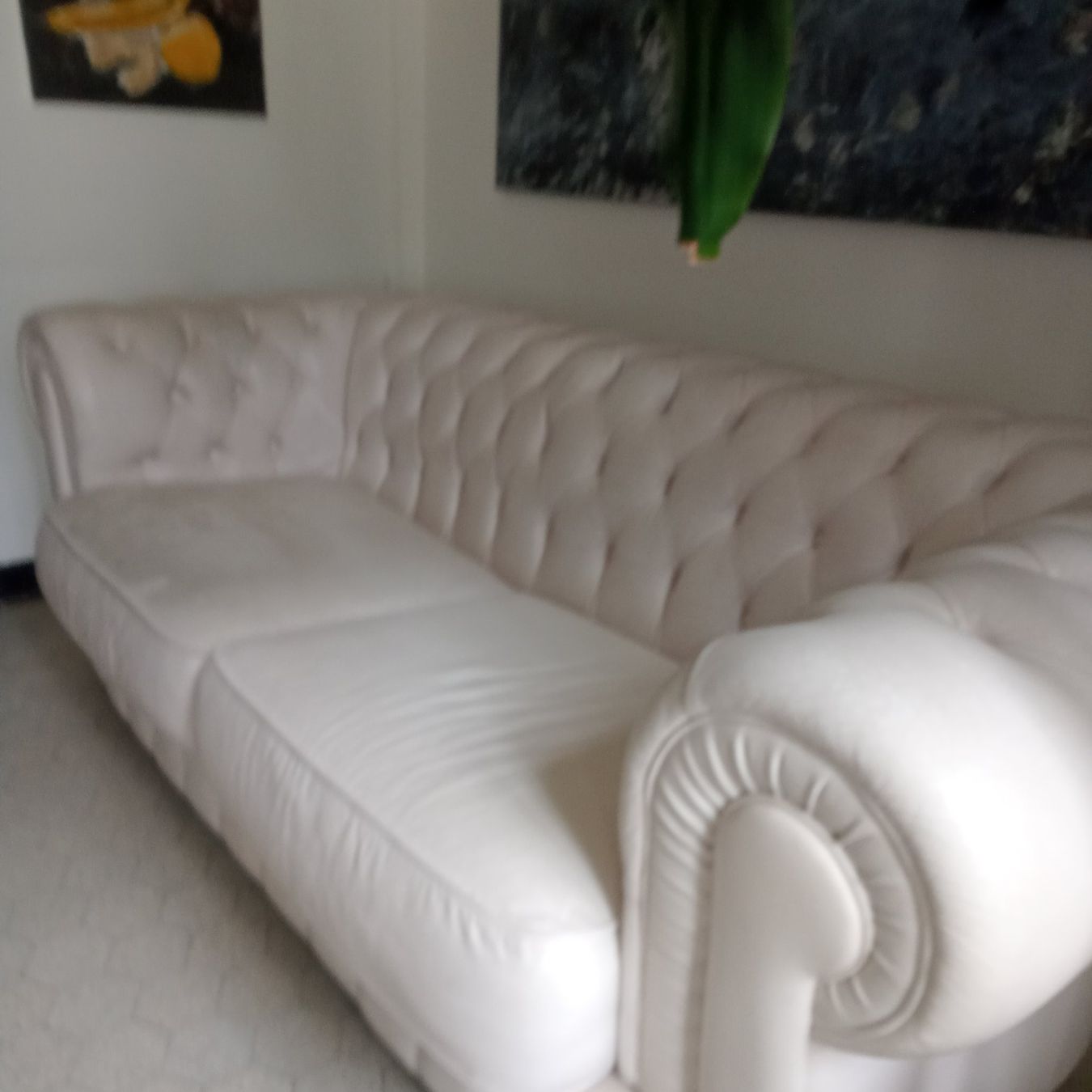 Chesterfield Sofas: Chesterfield Sofa leder , weiss – Gebraucht aus Winterthur von matstan 3