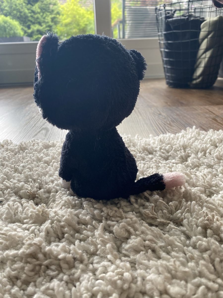 Giocattoli: Beanie Boo Katze Pampered, Glitzeraugen – Usato da Uttigen venduto da edicomedy 1
