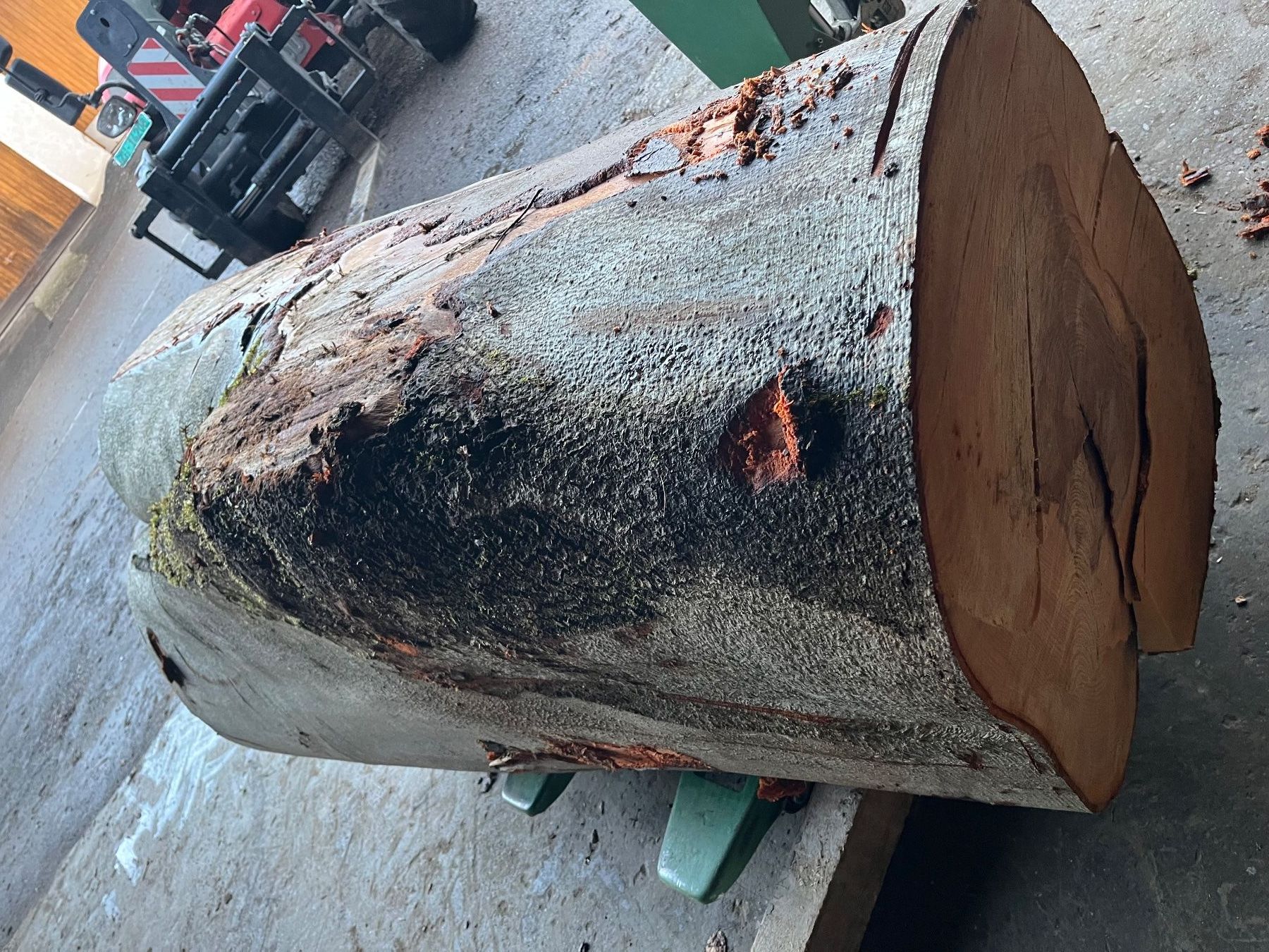 Articles en bois: Buchenklotz,Astgabel, Dekoration – Neuf (Voir description) à Nürensdorf par Peterhakab 3