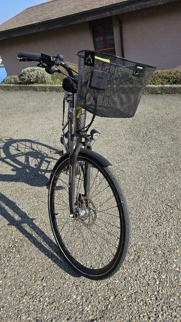 Trelago Biciclette: Trelago E-Bike Dinal 28" – Usato da Neuchâtel venduto da SG_0702 3