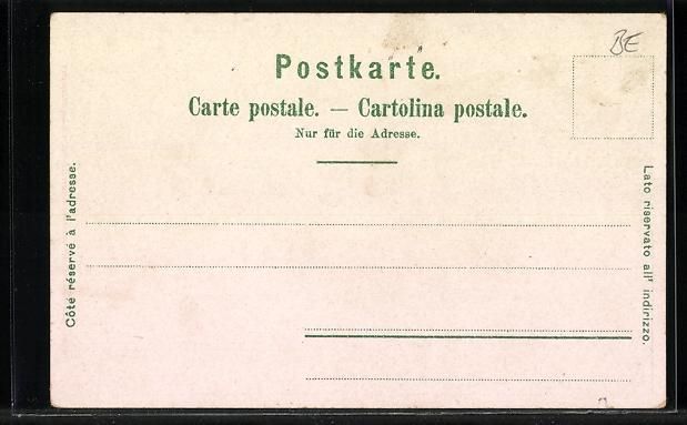 Cartes postales: Litho Bienne, Promenade du Pasquart et M – D'occasion à Berlin par bartko-reher 1