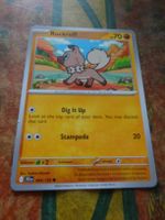 POKEMON  Rockruff   I  JTG EN  084/159   HP70   2025
