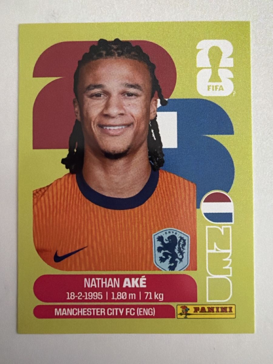 Panini Sammelbilder & Trading cards: Panini NED 7 – Neu (gemäss Beschreibung) aus Leytron von airlines00