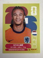 Panini NED 7