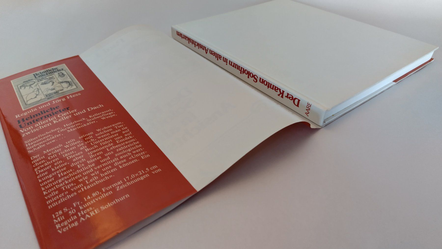 Libri: Der Kanton Solothurn in alten Ansichtskarten / Buch 1980 – Usato da Bellach venduto da JingleJerry 2