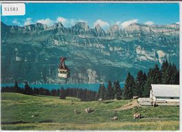 Flumserberge - Luftseilbahn Unterterzen-Tannenbodenalp