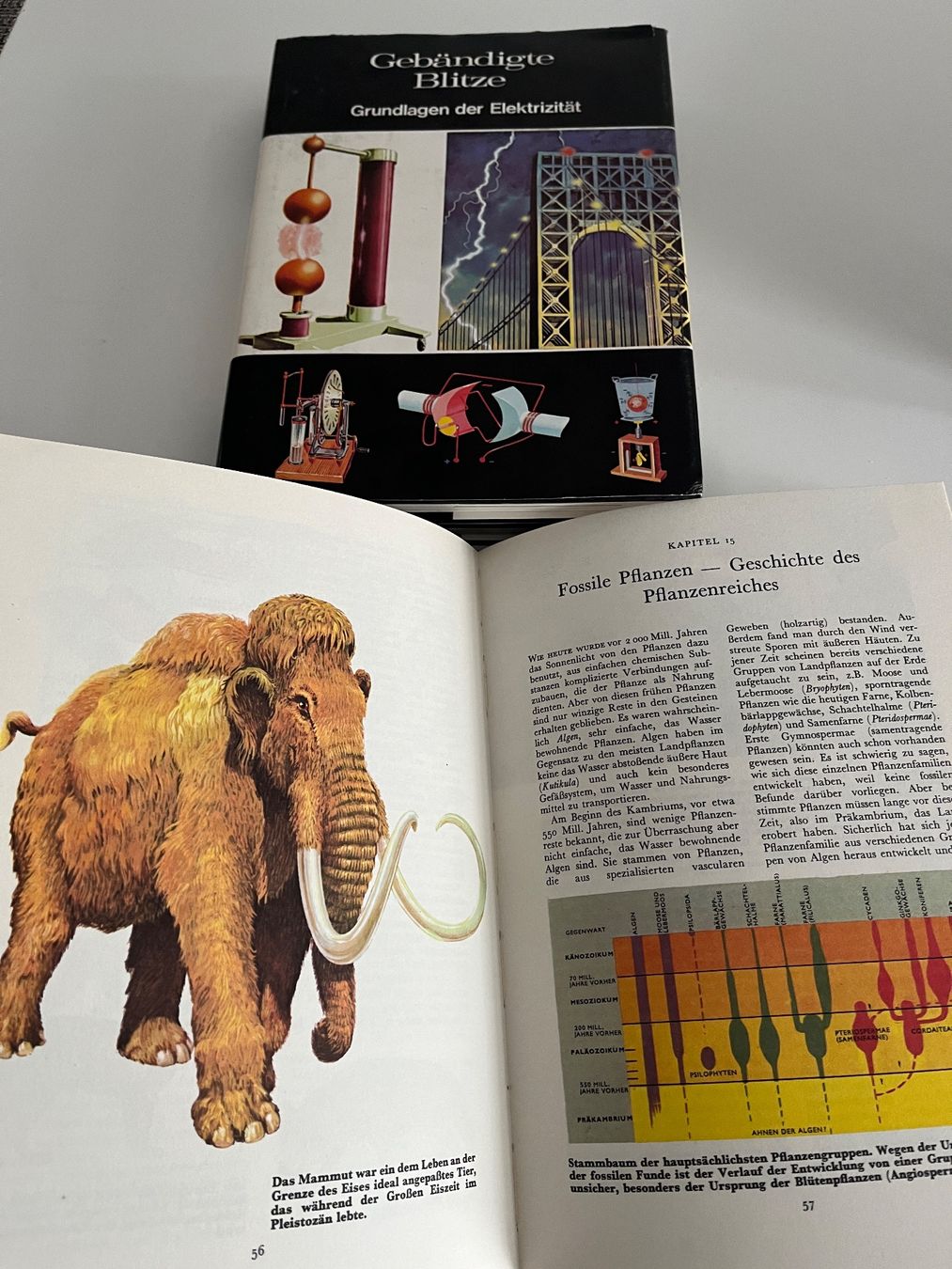 Libri: Wunderschöne Buchreihe "Welt der Wissenschaft" – Usato da Zürich venduto da qtv31 4