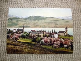 Männedorf um 1900 Ansichtskarte Postkarte