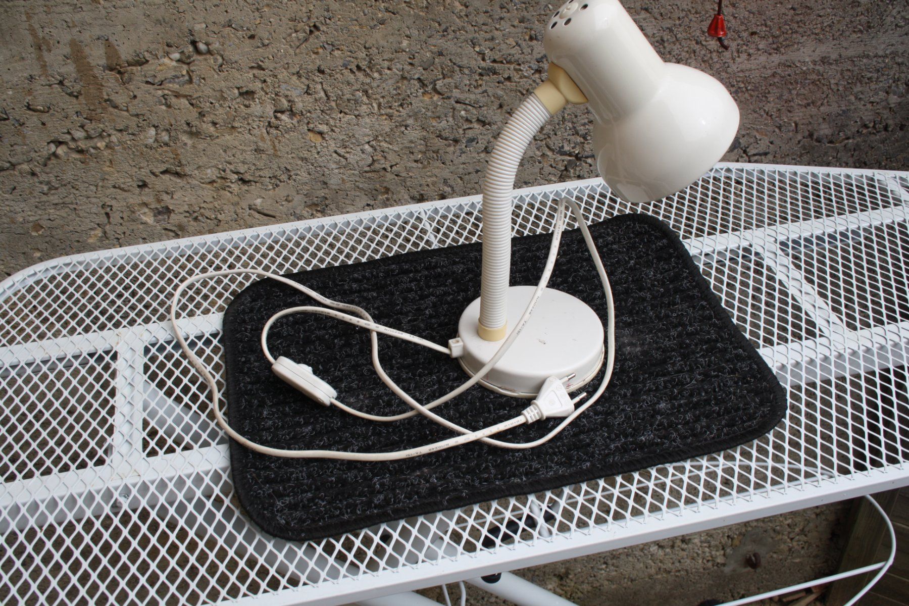 Lampade: TISCHLAMPE LAMPE – Usato da Wauwil venduto da Pneuedy 2