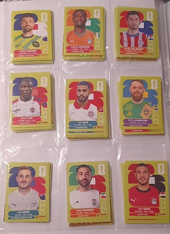 Panini Carte collezionabili: Panini Sticker WM 2026 - 300 Stk. – Nuovo (secondo la descrizione) da Henggart venduto da Alisha_2010 3