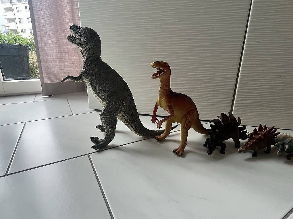Bücher: Dinosaurier Set – Gebraucht aus Unterägeri von JAARMO78 1