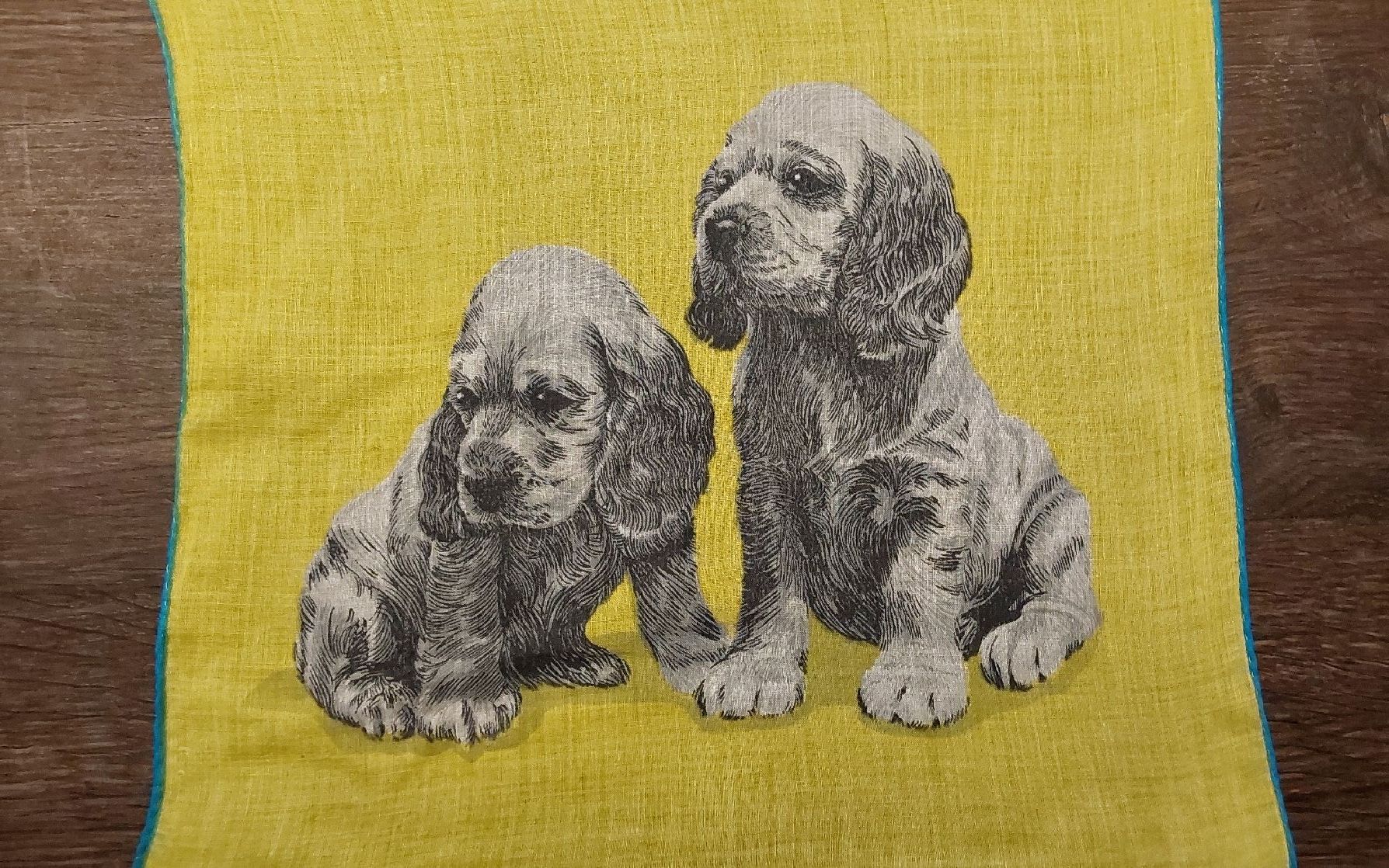 Altro in  Abbigliamento & Accessori: Taschentuch Motiv Hunde gelb – Usato da Köniz venduto da scopello12 1