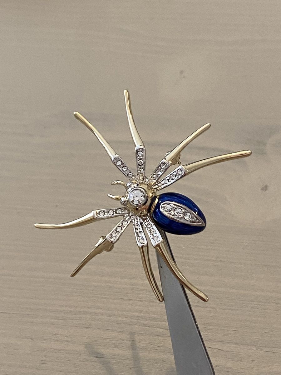 Broschen & Nadeln: Elegante Spinnen-Brosche 🌟🌺🌟🌸 – Gebraucht aus Birr von Vintage-Liebhaber 7