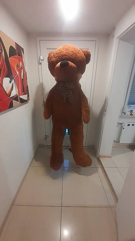 Giocattoli: Hochwertiger Teddybär, 1,90 cm gross – Usato da Therwil venduto da myMojito 1